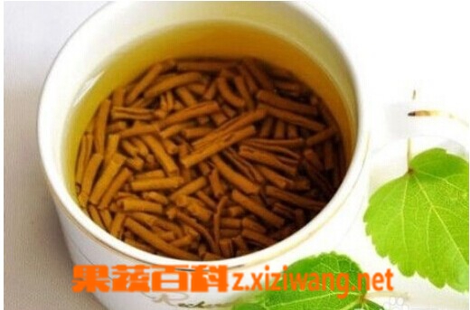 果蔬百科苦荞茶