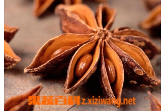 八角茴香的功效与作用