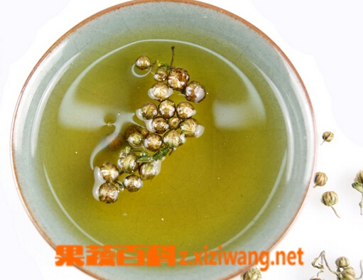 果蔬百科珍珠菊花茶的泡法