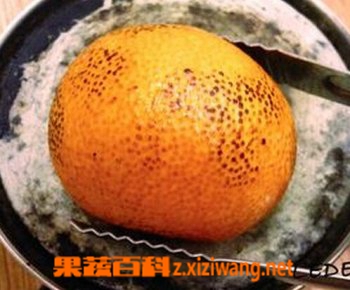 烤橘子能治咳嗽吗 烤橘子的功效