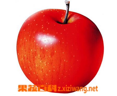果蔬百科高血压吃什么水果好