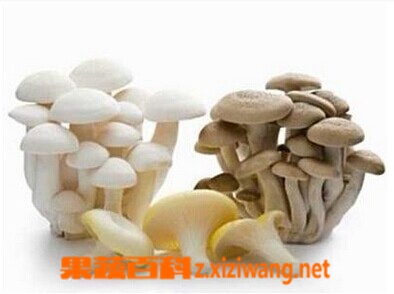 果蔬百科增加免疫力的食物