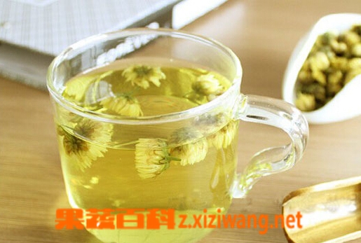 果蔬百科胎菊花的泡法