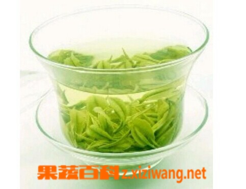 果蔬百科绿茶