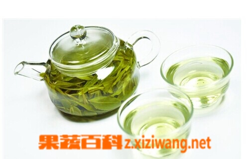 果蔬百科绿茶