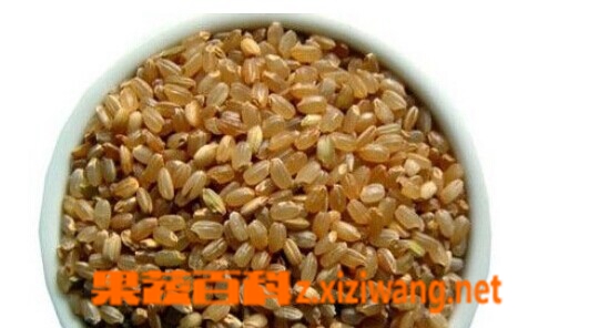 果蔬百科糙米的功效与作用
