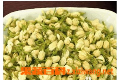 果蔬百科茉莉花茶
