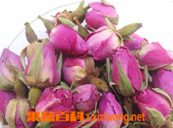 果蔬百科玫瑰花茶