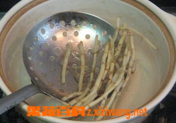 果蔬百科鱼腥草煮水