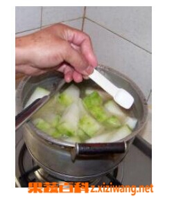 果蔬百科冬瓜排骨汤