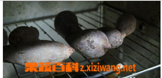 果蔬百科怎么用烤箱烤红薯