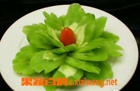 果蔬百科苦瓜