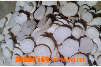 生白芍的功效与作用