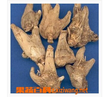 果蔬百科白芨