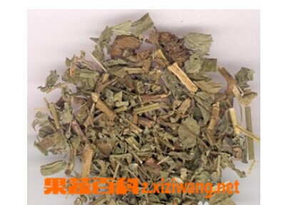 果蔬百科仙鹤草