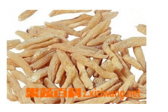 天冬的功效与作用