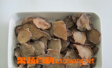 果蔬百科附子