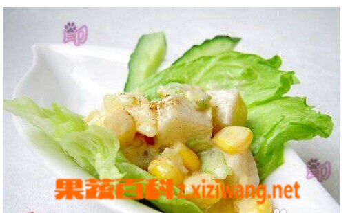 果蔬百科蔬菜沙拉