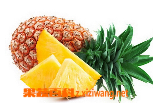 果蔬百科与菠萝相克的食物
