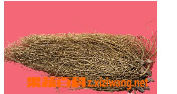 果蔬百科细辛