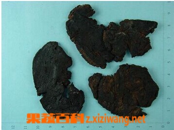 果蔬百科地黄