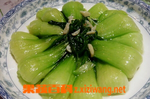 果蔬百科清炒油菜