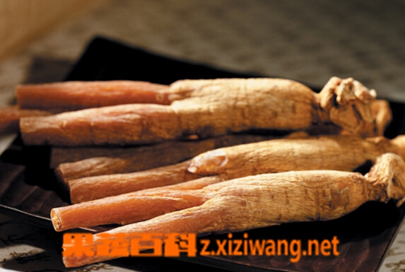果蔬百科高丽参