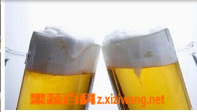 果蔬百科喝酒前吃什么不会醉