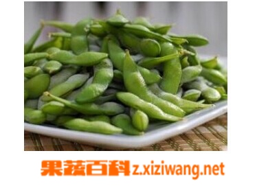 果蔬百科毛豆