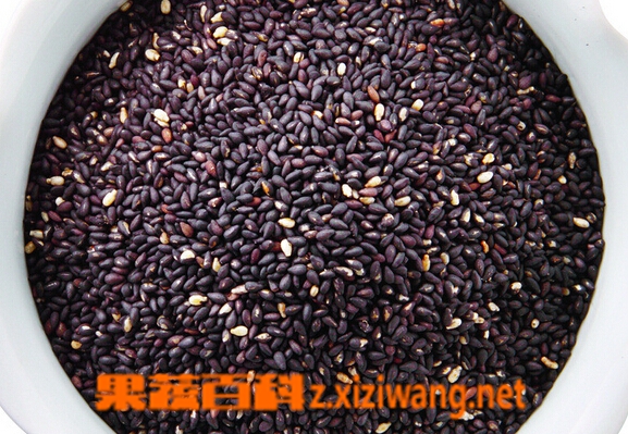 果蔬百科黑芝麻