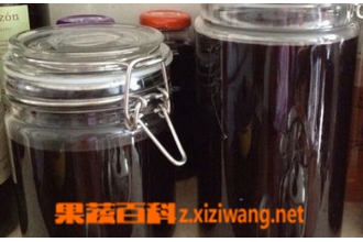 男人肾虚吃什么壮阳