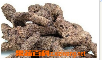 果蔬百科地黄