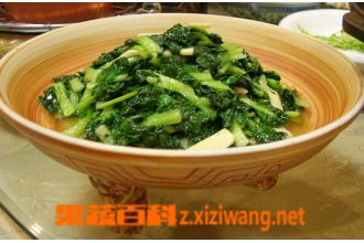 塌菜图片 塌菜的做法