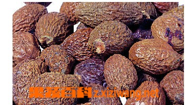 果蔬百科胖大海