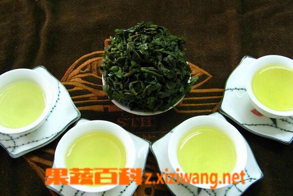 果蔬百科铁观音
