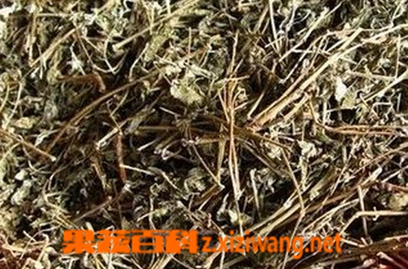 果蔬百科溪黄茶