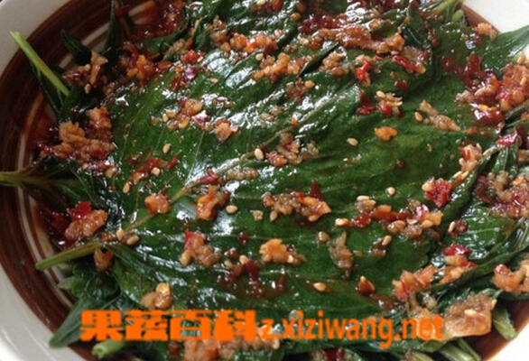 果蔬百科苏子叶咸菜