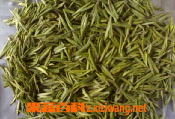 果蔬百科黄茶
