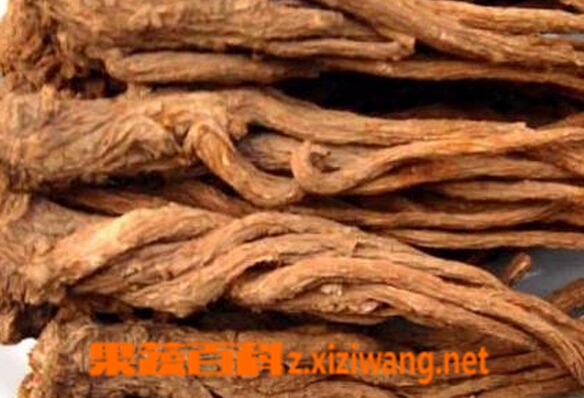 果蔬百科当归泡水喝的害处