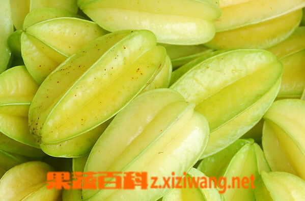 果蔬百科杨桃可以怎么吃