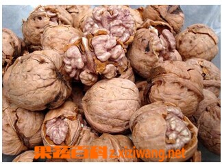 果蔬百科核桃