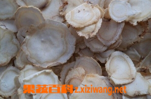 果蔬百科人参片