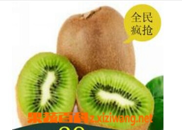 果蔬百科海选一号
