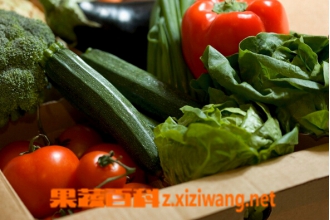 强碱性食物有哪些