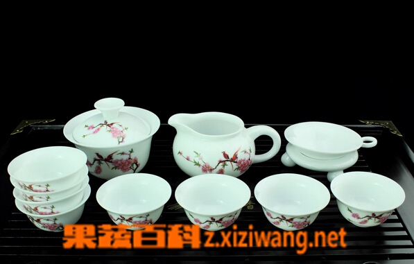 果蔬百科普洱茶功夫茶