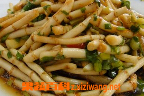 果蔬百科鱼腥草的禁忌