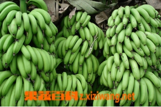 水果催熟剂的危害 催熟剂对人的危害有哪些