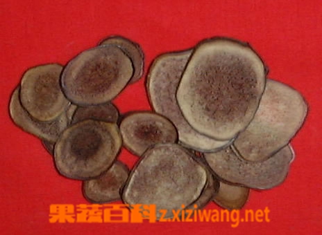 果蔬百科人参鹿茸