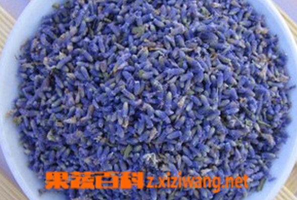 果蔬百科熏衣草花茶