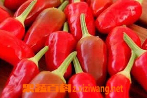 果蔬百科坐月子不能吃哪些食物